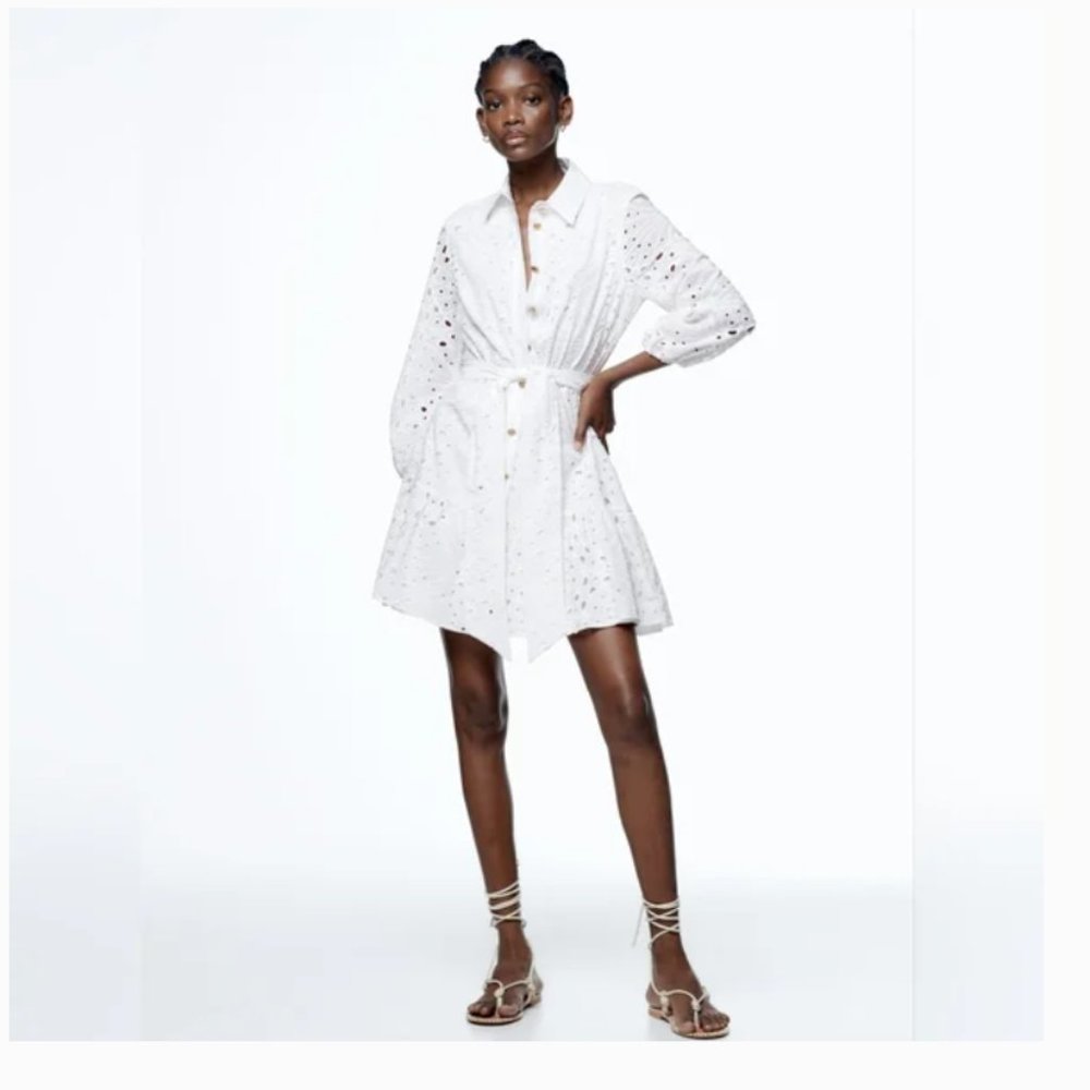 NWT Zara Embroidered White Collared Shirt Mini Dress